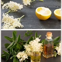 24 The Elderflowers Are Blooming